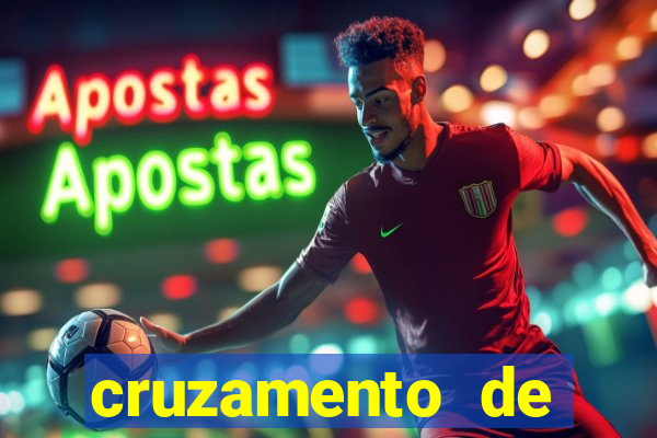 cruzamento de cavalo com jumenta globo rural